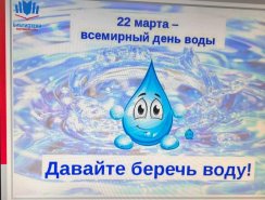 img (2)